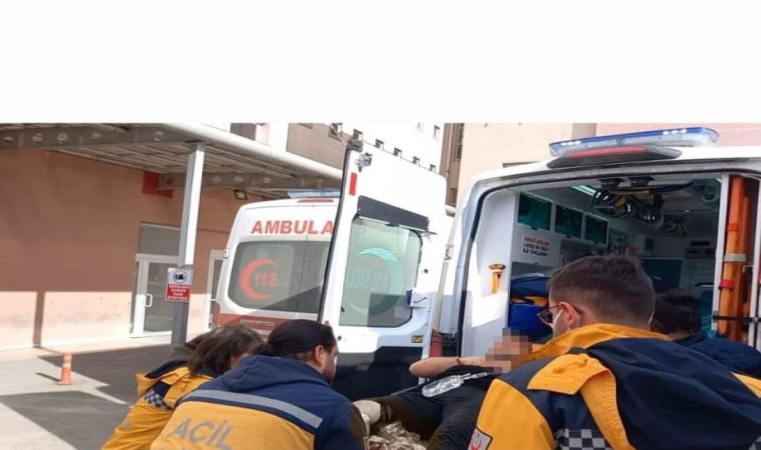 Tekirdağ’da bir baba, tartıştığı oğlunu pompalı tüfekle bacağından yaraladı. Tekirdağ’ın