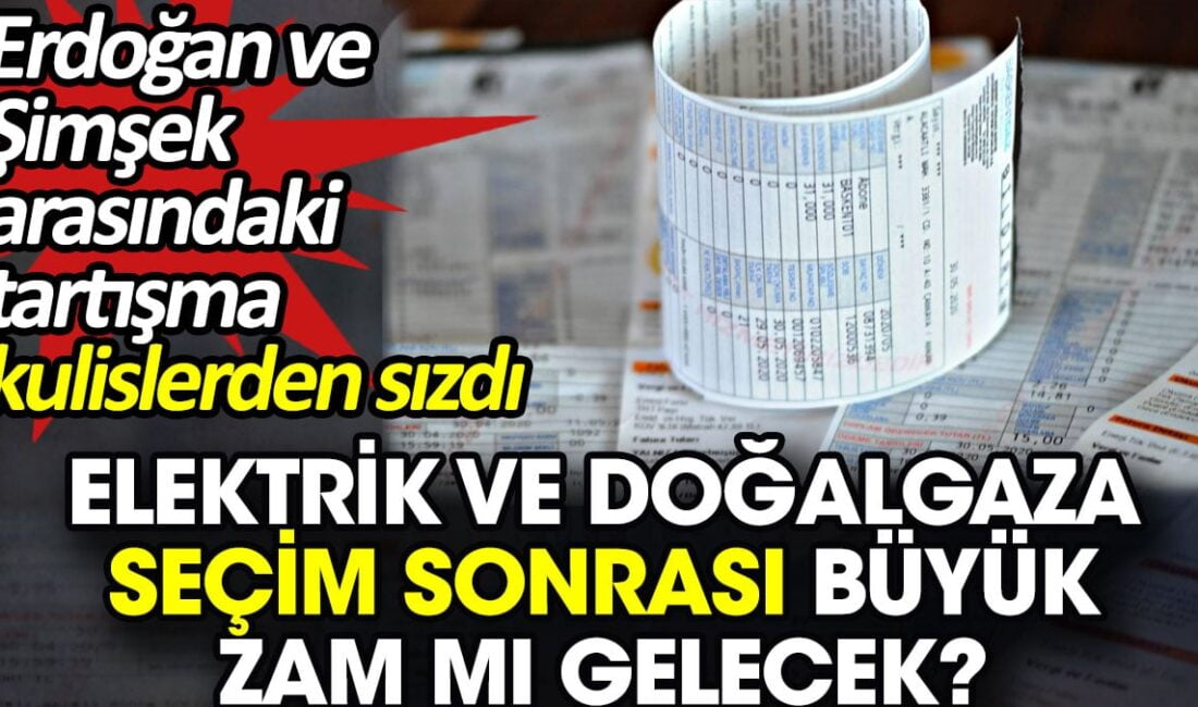 Seçim sonrası ekonomik beklentiler;"Türkiye'de seçimlerin ardından elektrik ve doğalgaz fiyatlarında