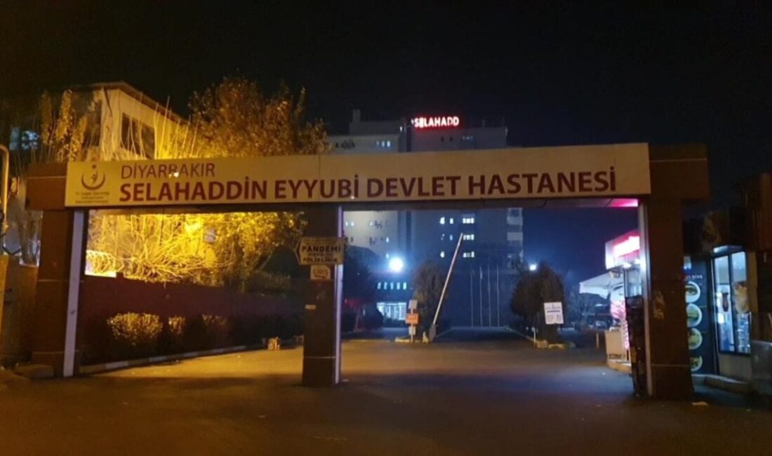 Diyarbakır Lice'de akraba iki aile arasında arazi sınırı anlaşmazlığı nedeniyle
