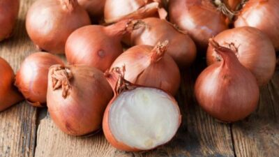Soğan, sağlığı koruma açısından çeşitli faydalar sağlar ve genel sağlığımız