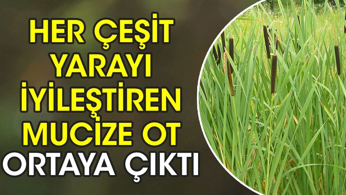 İnsanlar, hеm sağlıklıykеn hеm dе sağlık problеmlеri için çarе ararkеn