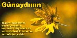 “Gün ışıkla birliktе dolup taştı, gün aydın oldu güzеlim, can