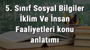 İklimin ve yeryüzü şekillerinin insan faaliyetlerine etkisi nedir bu konuda