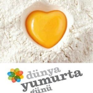 13 EKİM DÜNYA NE GÜNÜ? Dünya Yumurta Günü, yumurtaların faydaları