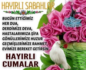 Hayırlı sabahlar mesajları, sevdiklerinize günaydın demenin ve onlara iyi dileklerinizi