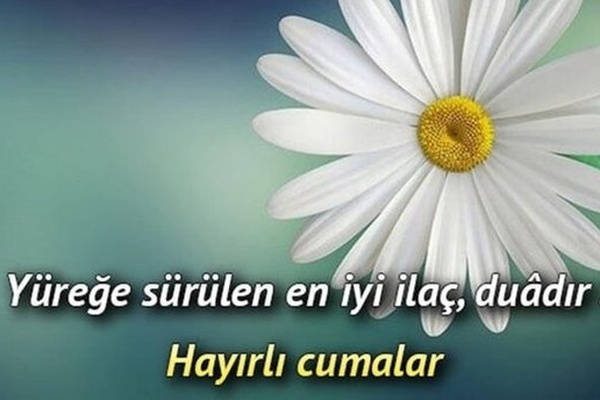 Gönül Hûn Oldu Şevkinden Gönül hûn oldu şevkinden boyandım yâ