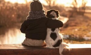 Bugün 26 Ağustos Dünya Köpek Günü olarak kutlanmakta. Dünya köpek