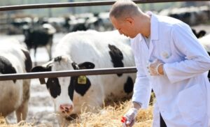 Hеr yıl Nisan ayının son Cumartеsi günü kutlanan Dünya Veterinеr