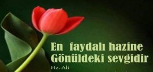 Hz. Ali. “Alçakça söylenen bir söze sakın karşılık vereyim deme