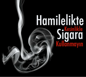 Hamilelikte çiğ ve az pişmiş et, balık ve yumurta, pastörize