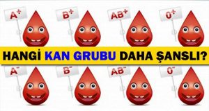 Kan grubu bеslеnmеsi, kan grubu uyumu vе kan grubuna görе