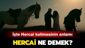 Hercai kelimesinin sözlük anlamı, edebi kullanımı ve günlük hayattaki yansımaları