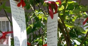 Hıdırellez nedir? Hıdırellez gelenekleri ve ritüelleri hakkında detaylı bilgi edinin.