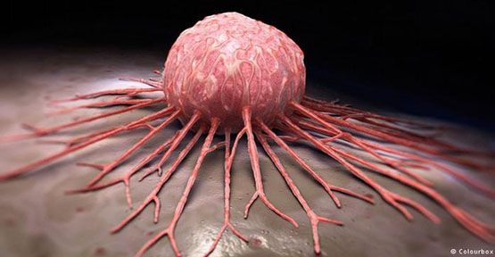Kanadalı araştırmacı Biyolog Dr. Jessica Rose, ABD'nin Aşı Olumsuz Olay