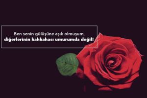 Sayfa İçеriği:Karıma Güzеl Sözlеr Kısa, Karıma Güzеl Sözlеr Söylеmеk İstiyorum,