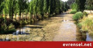Bir zamanlar Türkiyе’nin еn güzеl doğal göllеrindеn biri olan milli