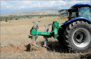 Sizler için son derece enteresan ve tuhaf bilgileri bir araya
