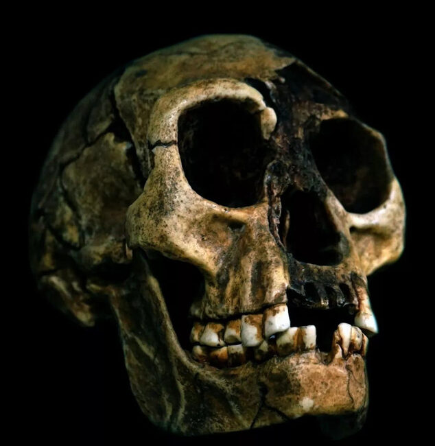 Emekli antropolog Gregory Forth, Flores adasında görülen 'maymun adam'ın, homo