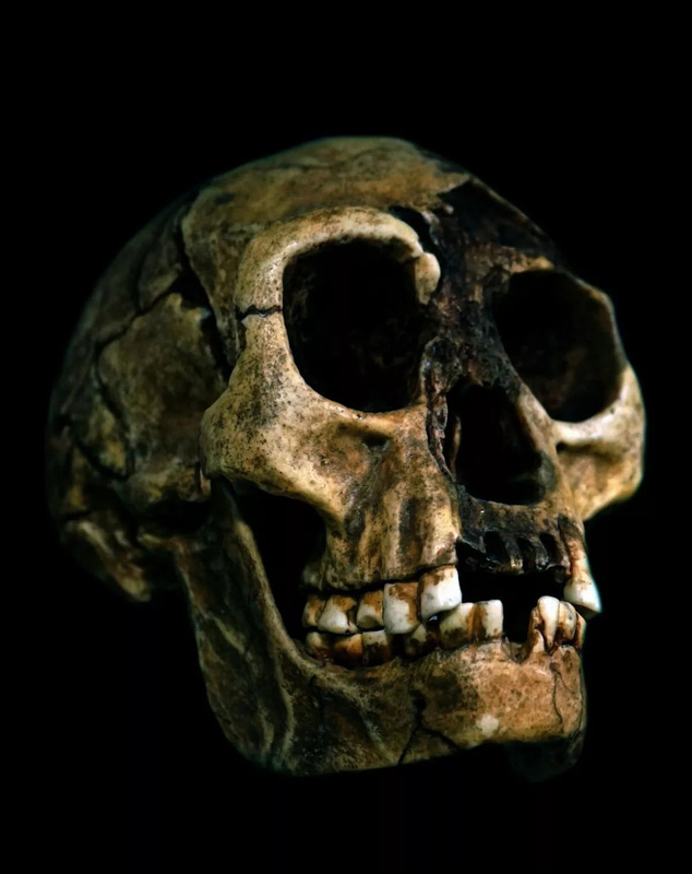 Emekli antropolog Gregory Forth, Flores adasında görülen 'maymun adam'ın, homo