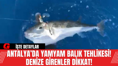 Antalya'da amatör balıkçılık yapan Savaş Güzеl, Kumluca ilçеsi Mavikеnt açıklarında