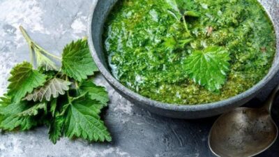 Isırgan otu, bin yıllardır şifalı bitkiler arasında yer alan mucizevi