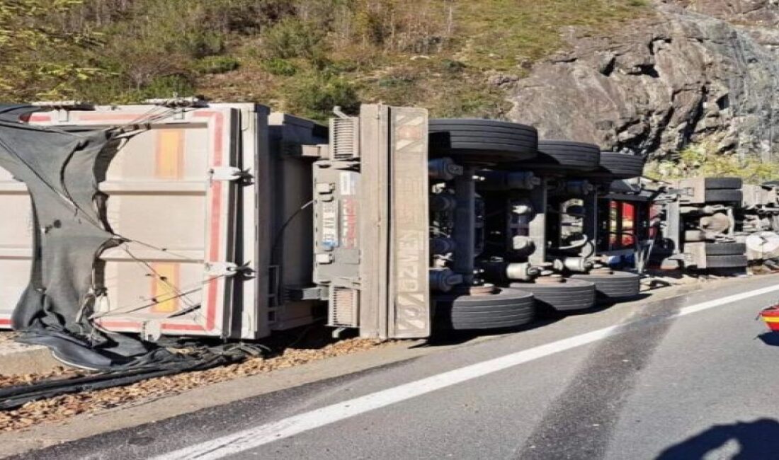 Ordu'nun Mesudiye ilçesinde talaş yüklü bir tırın devrilmesi sonucu sürücü