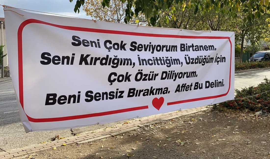 6 Aralık Dünya Özür Dileme Günü | Kimi hırsızlık için