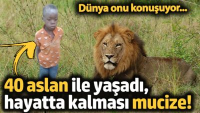 5 Gün Aslanlarla Dolu Matusadona'da Kaybolan Çocuk Mucizevi Şekilde Kurtarıldı!