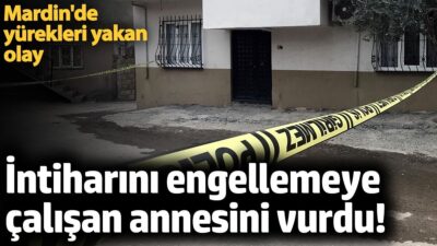 Derik’te Yaşanan Silahlı Olay ve Hastane Hizmetleri İntiharını Önlemeye Çalışan