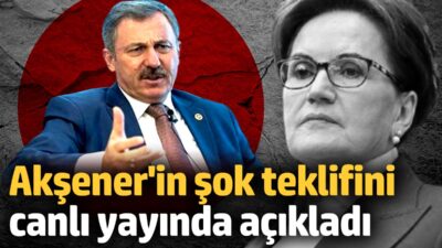 Meral Akşener'in Selçuk Özdağ'a yaptığı teklif, muhalefetin ittifak sorunlarını bir