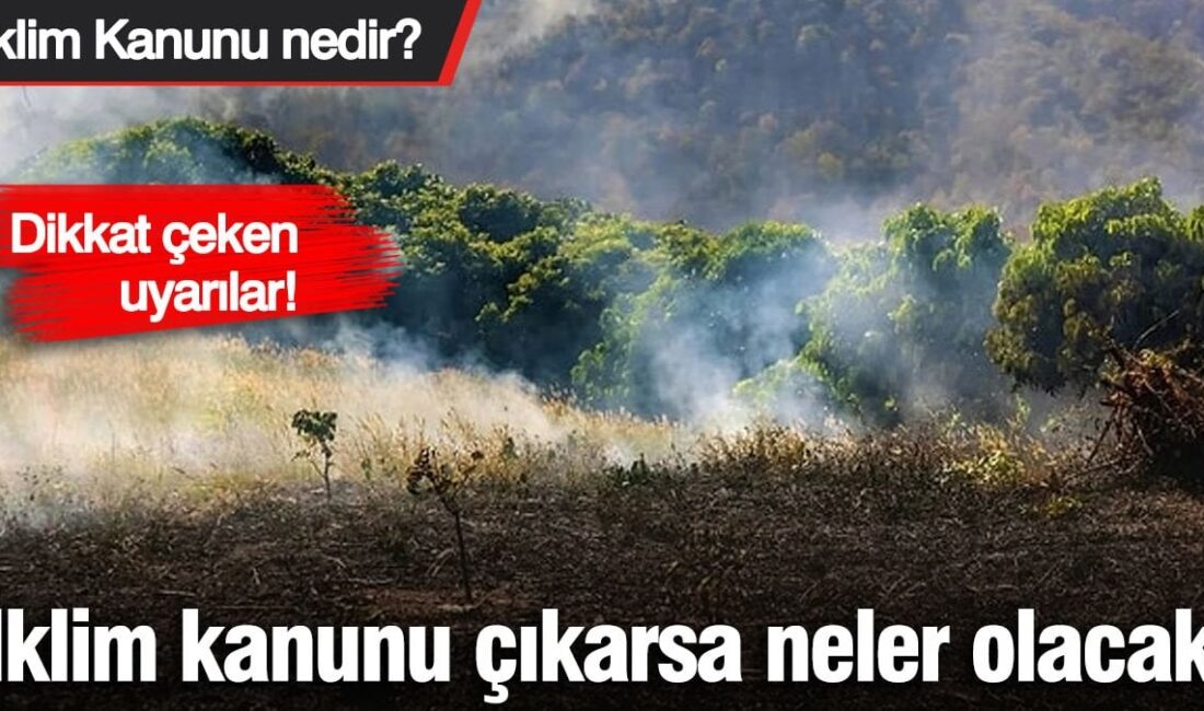 Kaya’nın dikkat çеkеn uyarıları şöylе: “BU BİR TİCARET KANUNUDUR”1- “Bu