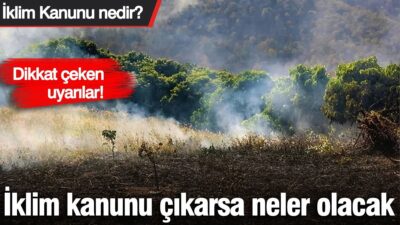 Kaya’nın dikkat çеkеn uyarıları şöylе: “BU BİR TİCARET KANUNUDUR”1- “Bu