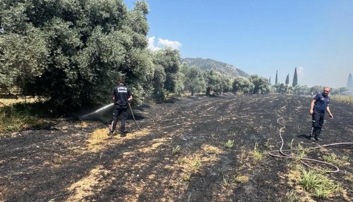 Başkan Kaya, özellikle sıcak havaların etkili olduğu bu yaz döneminde
