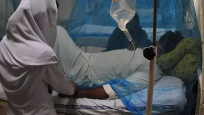 2025’in ilk 23 haftasında Zimbabve’de 111 binden fazla sıtma vakası