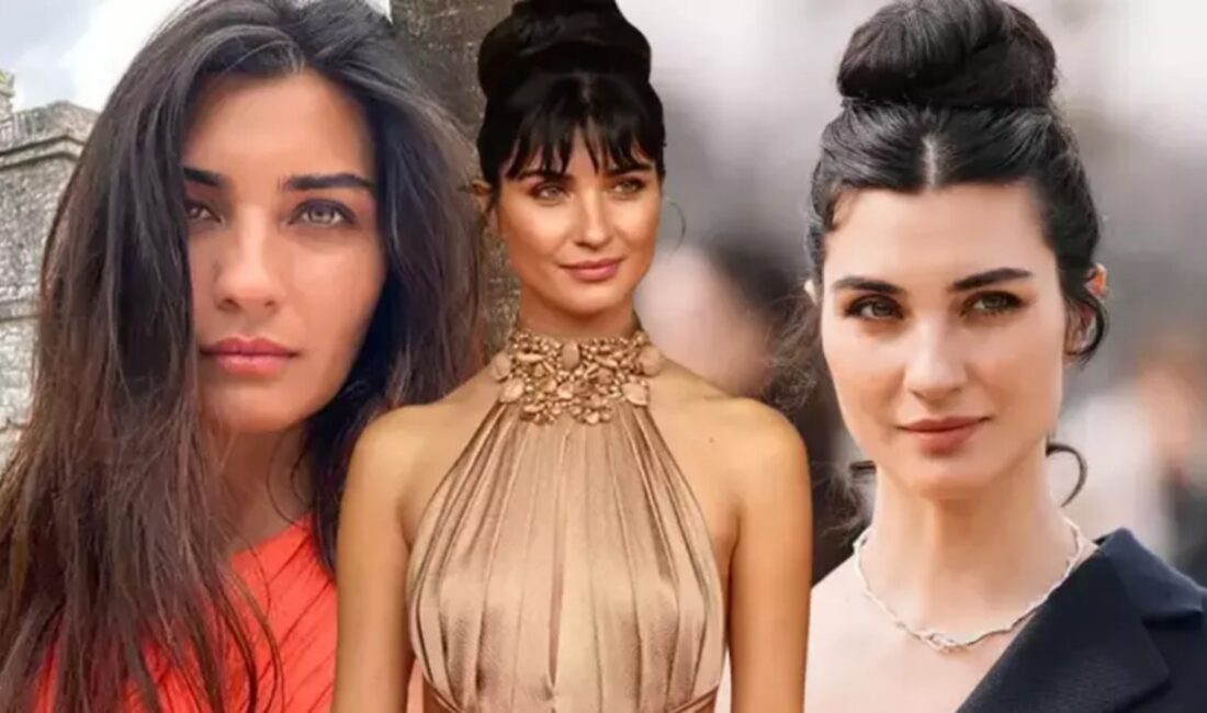  Netflix’in sevilen dizisi Zeytin Ağacı 3. sezonuyla geri dönüyor.