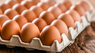 August Egg Company ve Koko Eggfire markalı yumurtalarda Salmonella tespit