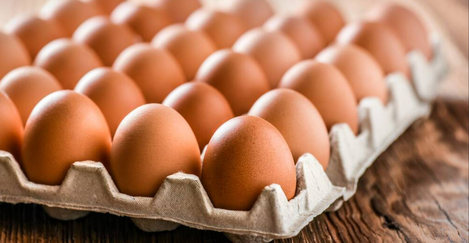 August Egg Company ve Koko Eggfire markalı yumurtalarda Salmonella tespit