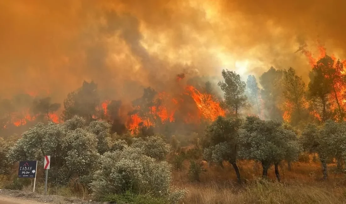 Seyitgazi’deki orman yangınında hayatını kaybeden 10 görevlinin isimleri belli oldu.