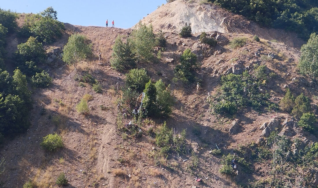 Şanlıurfa’dan Ordu’ya fındık toplamaya giden tarım işçilerini taşıyan minibüs, Sivas