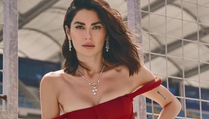 Nesrin Cavadzade Bodrum tatilinden bikinili pozlarını paylaştı. Köpeği Dolce ile