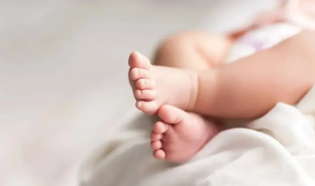Memur ve işçi anneler arasındaki doğum izni farkı kaldırılıyor, babalık