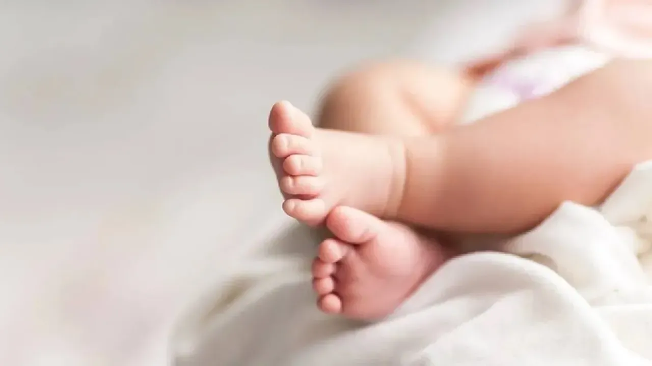 Memur ve işçi anneler arasındaki doğum izni farkı kaldırılıyor, babalık