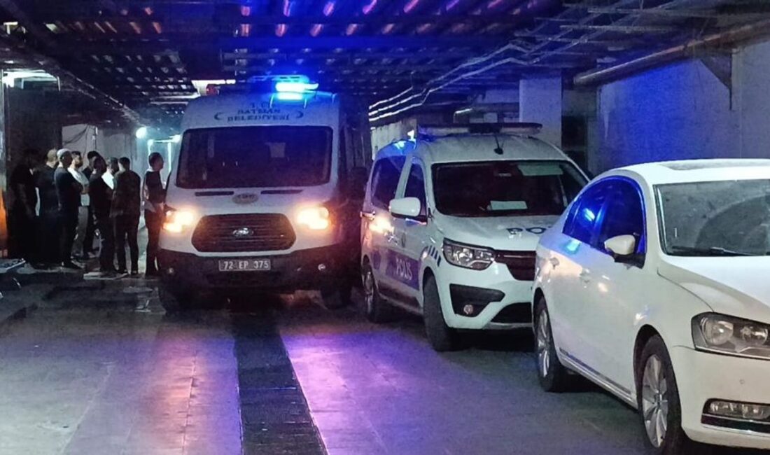 Mehmet Emin Demir trafik kazasında ağır yaralandı, hastanede kurtarılamadı.