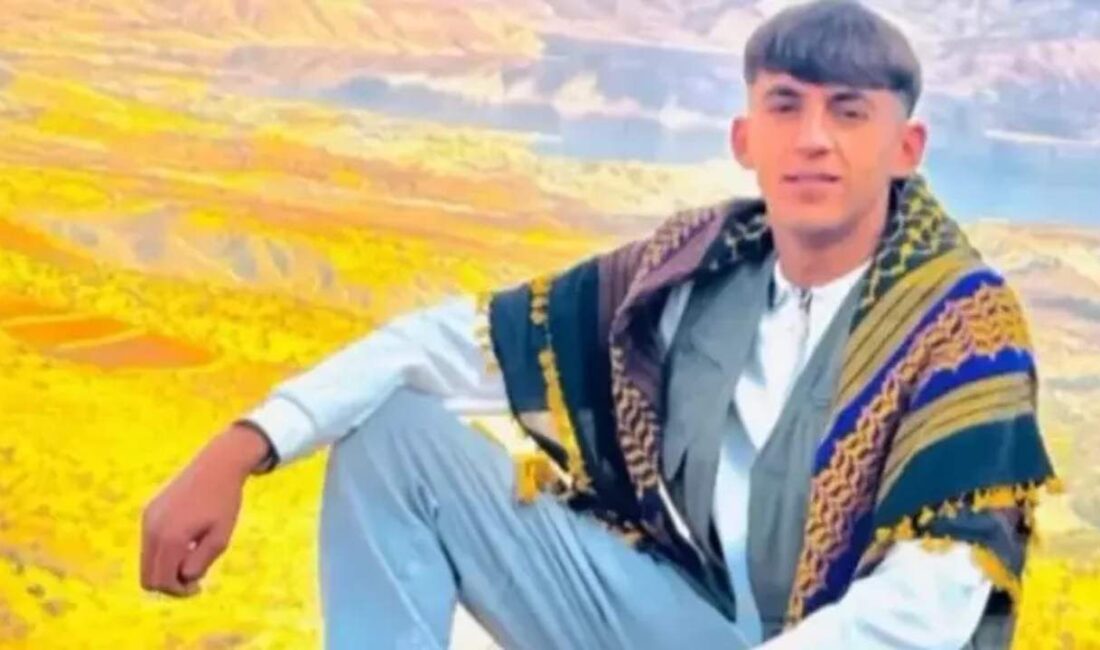 İbrahim Dilek 18 yaşında Mardin’de silahlı saldırıda hayatını kaybetti 18 yaşındaki İbrahim Dilek Mardin’in Dargeçit ilçesinde silahlı saldırıya uğrayarak