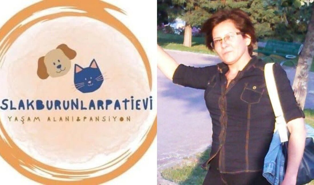 Şule Çörekçi kimdir? Menemen’de “Islak Burunlar Pati Evi” kurucusunun yangında acı ölümü Şule Çörekçi, İzmir Menemen’de sokak kedileri için kurduğu “Islak Burunlar