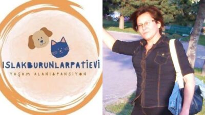 Şule Çörekçi, İzmir Menemen’de sokak kedileri için kurduğu “Islak Burunlar