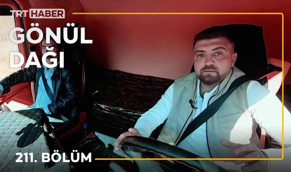Erzurum’da E-80 Karayolu’nda gece saatlerinde otomobilin hayvan yüklü kamyonete arkadan