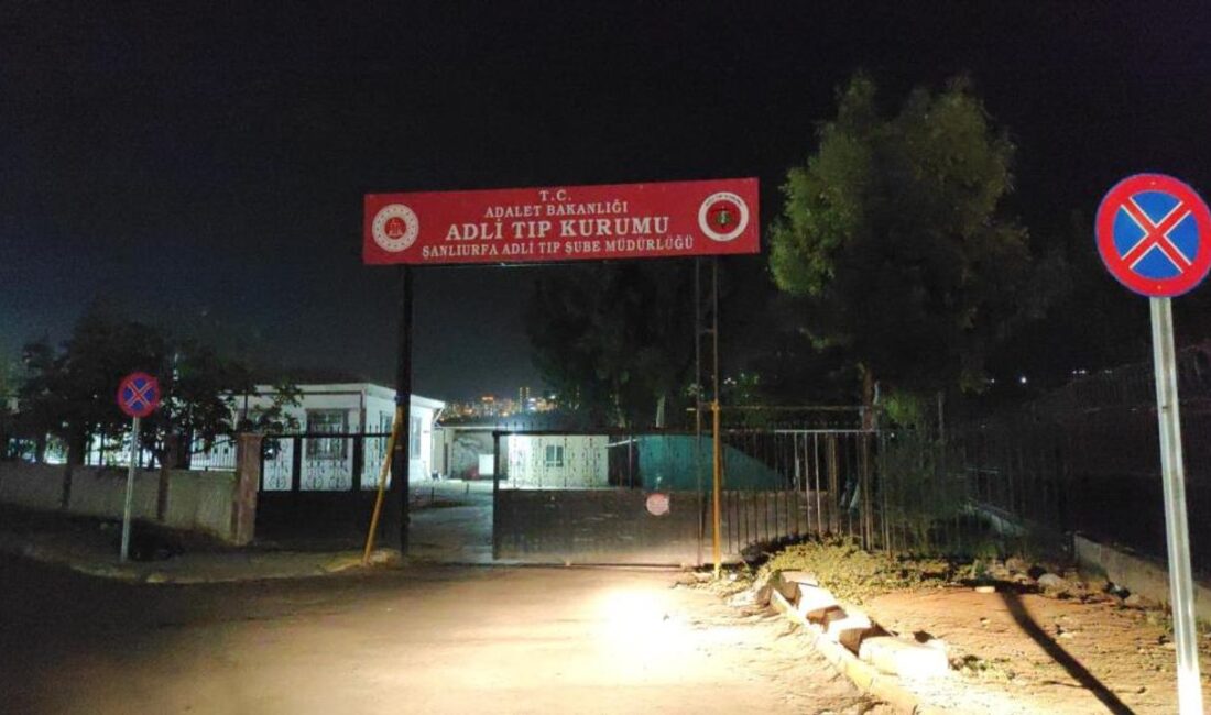 Şanlıurfa–Mardin karayolunda otomobille çarpışan motosikletteki iki kişi hayatını kaybetti .