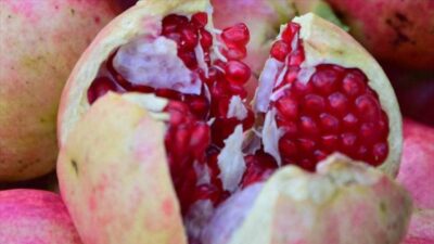 21 Aralık Nardugan’da güneşin dönüşü kutlanır. Bereket için kapıda nar