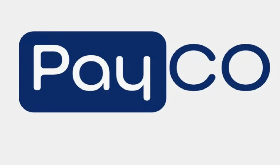 Payco Elektronik Para A.Ş.'ye yönelik kapsamlı soruşturma kapsamında 28 şüpheli